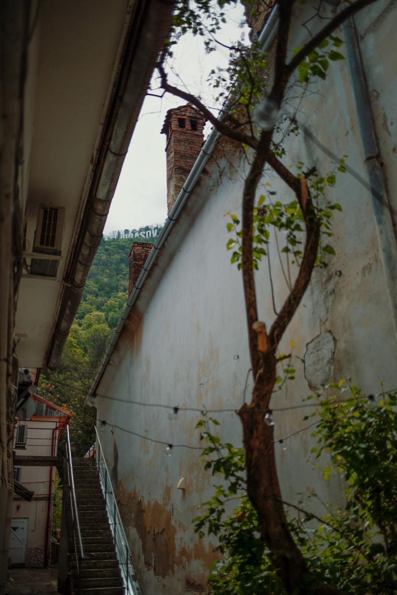 3 Min To Everything-Stylish-Modern-Old Fortress ブラショフ エクステリア 写真